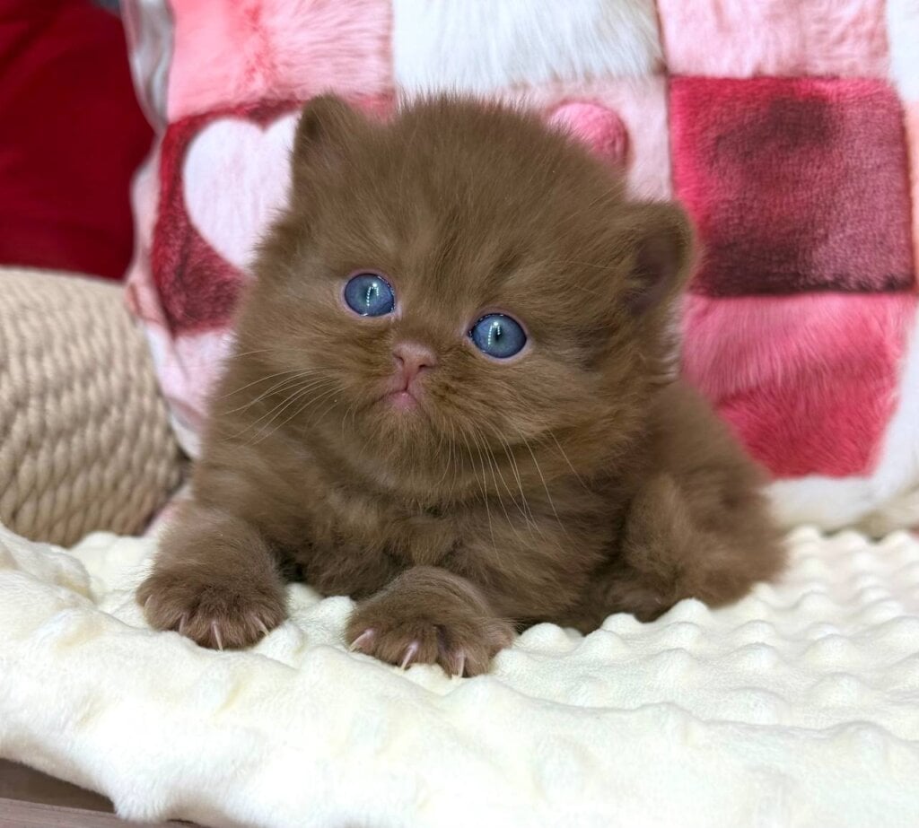 Photo 2026 03 18 20 06 34