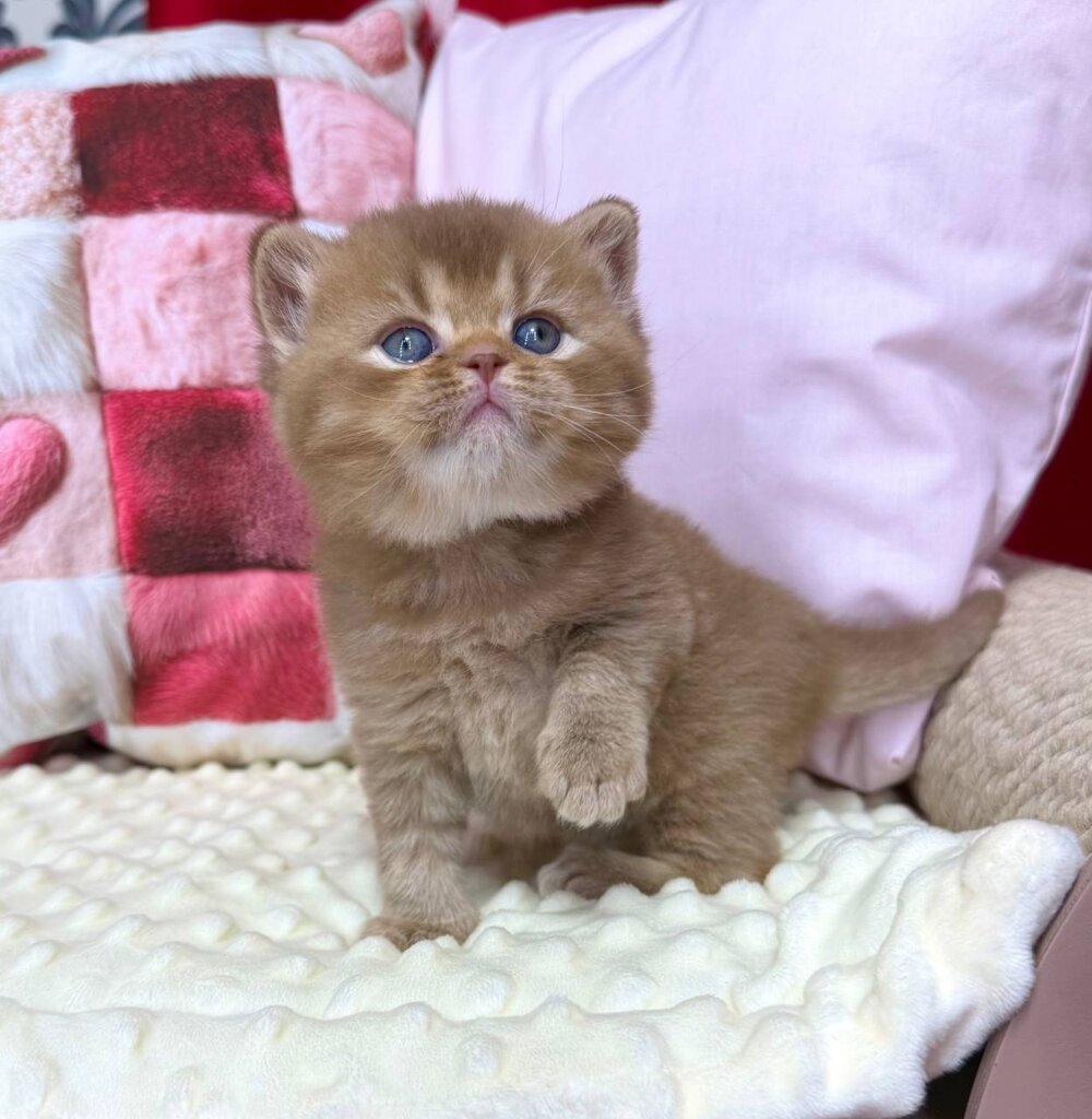 Photo 2026 03 18 20 09 04