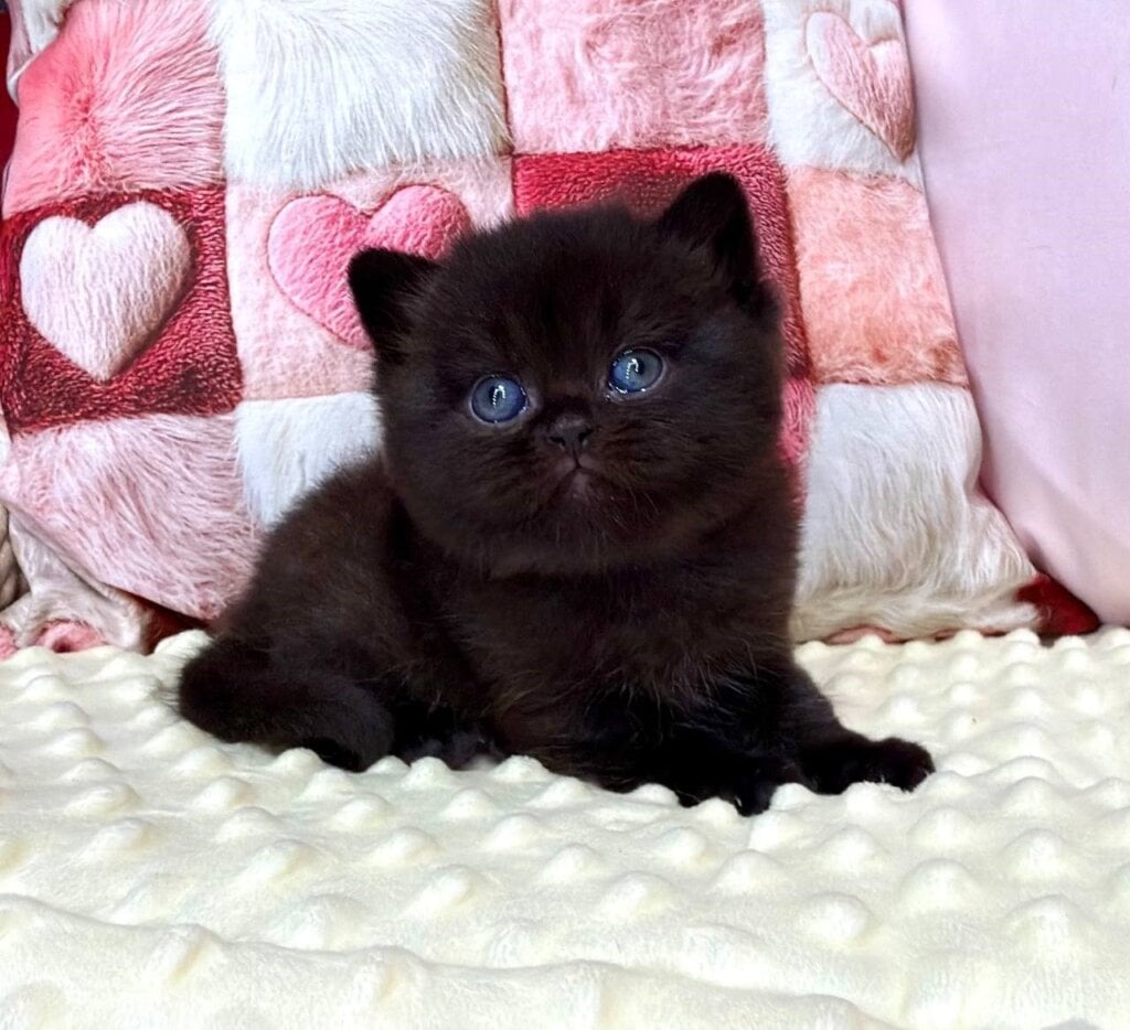 Photo 2026 03 18 20 17 15