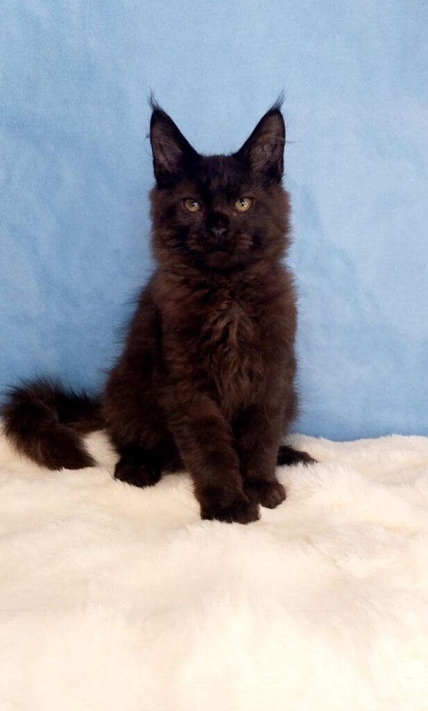 Photo 2026 03 19 16 03 46