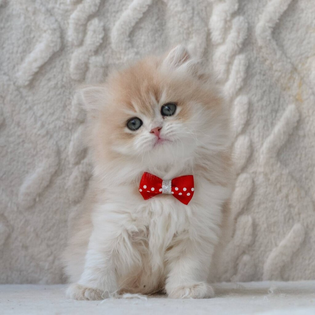 Photo 2026 03 19 16 14 15 2