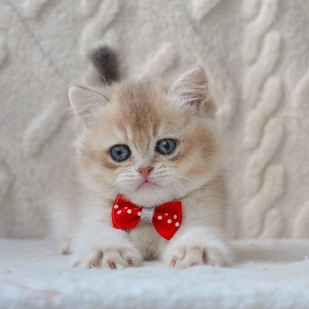 Photo 2026 03 19 16 14 40