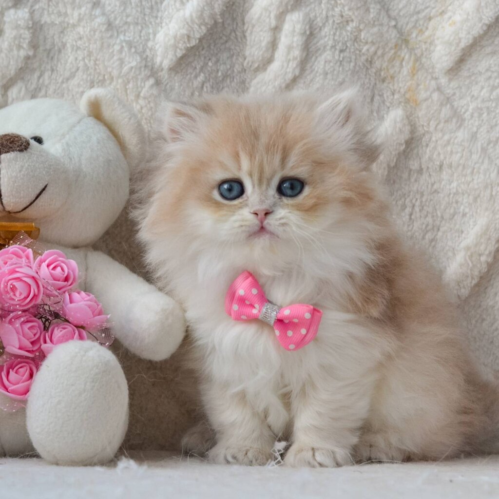 Photo 2026 03 19 16 15 09