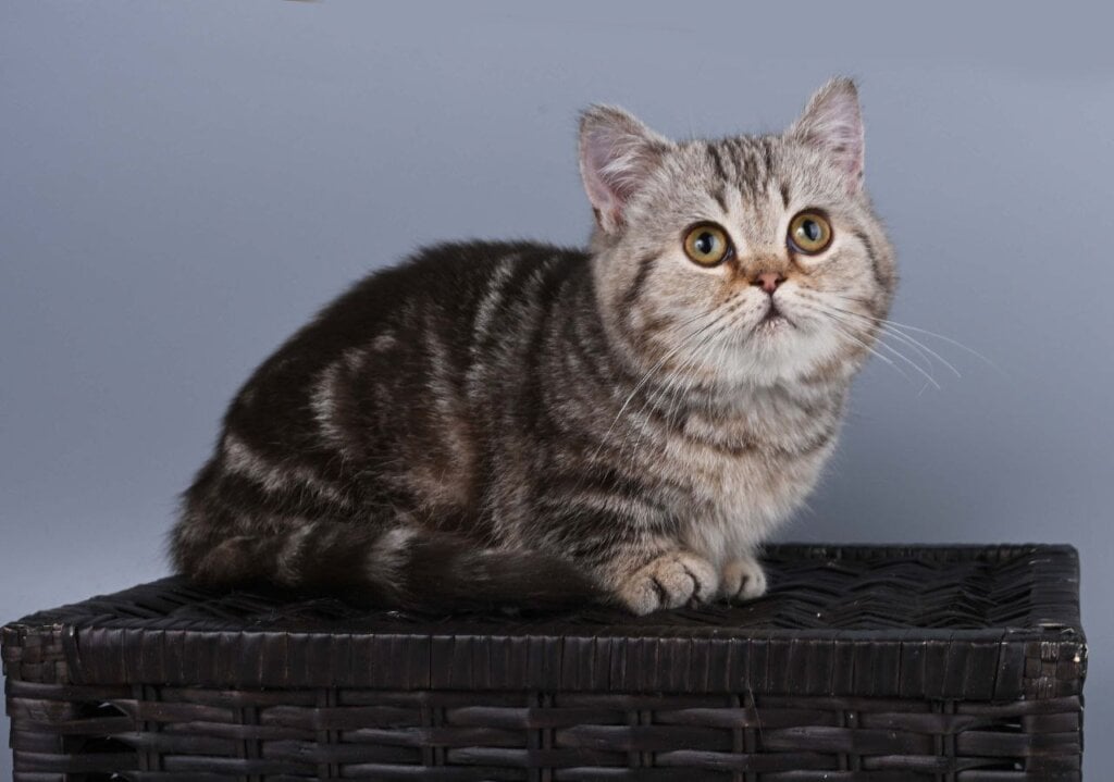 Photo 2026 03 19 16 48 00 2