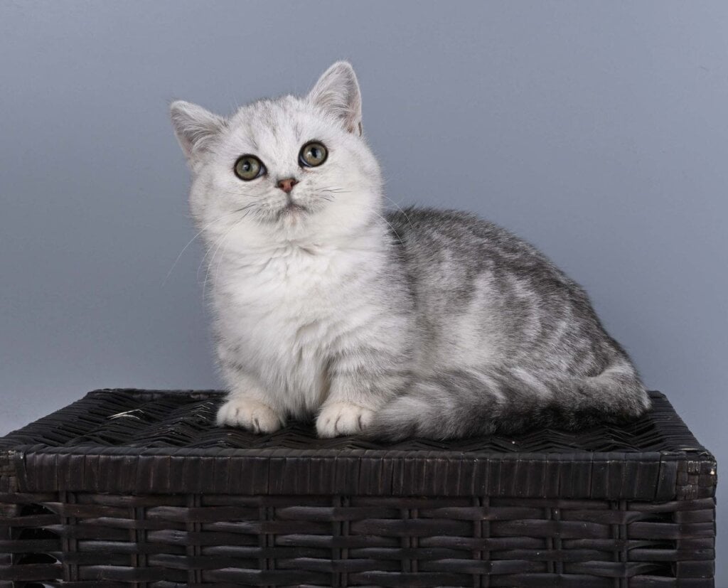 Photo 2026 03 19 20 10 22