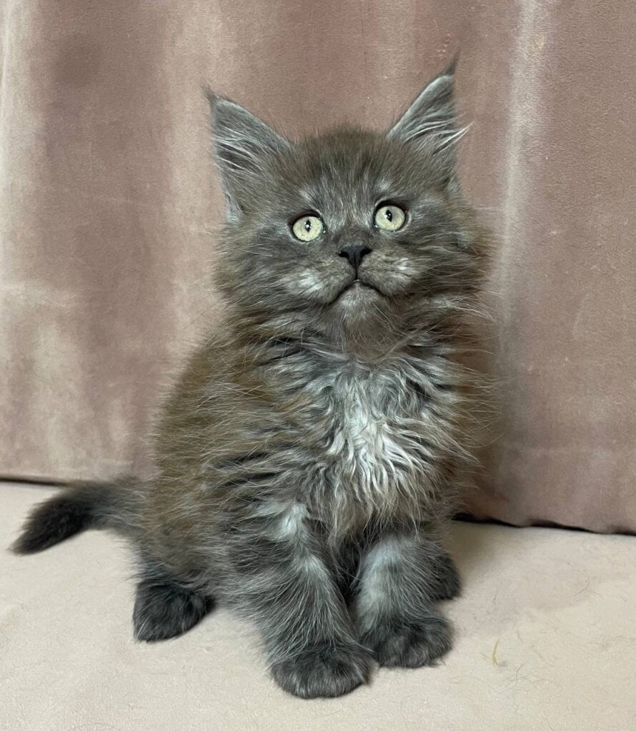 Photo 2026 03 20 13 36 08