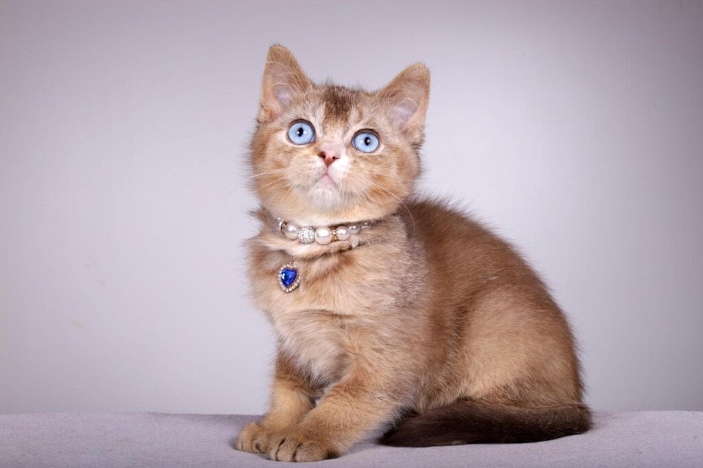 Photo 2026 03 20 19 51 27 2