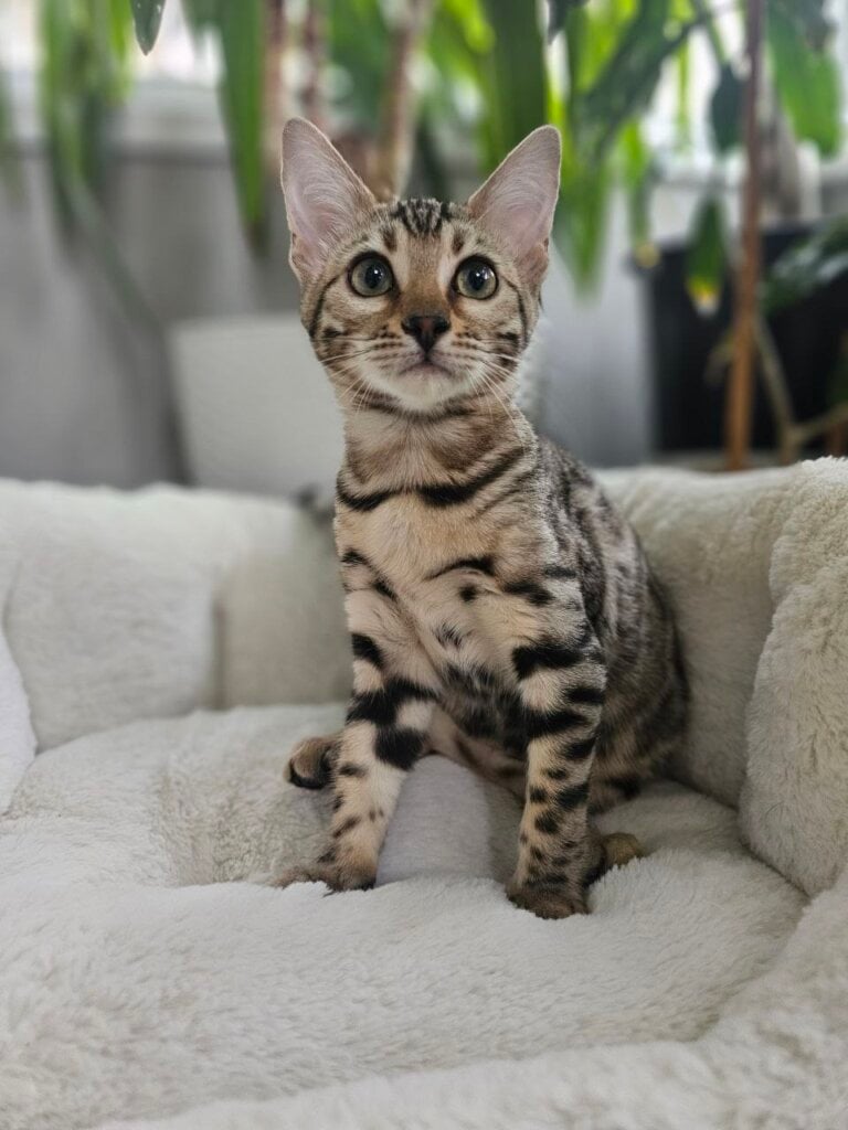 Photo 2026 03 21 18 14 18