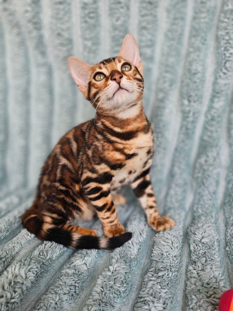 Photo 2026 03 21 18 18 24