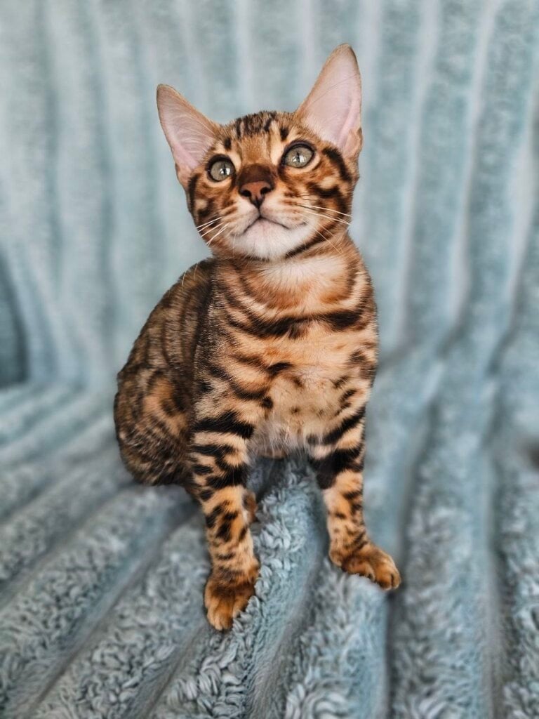 Photo 2026 03 21 18 29 57