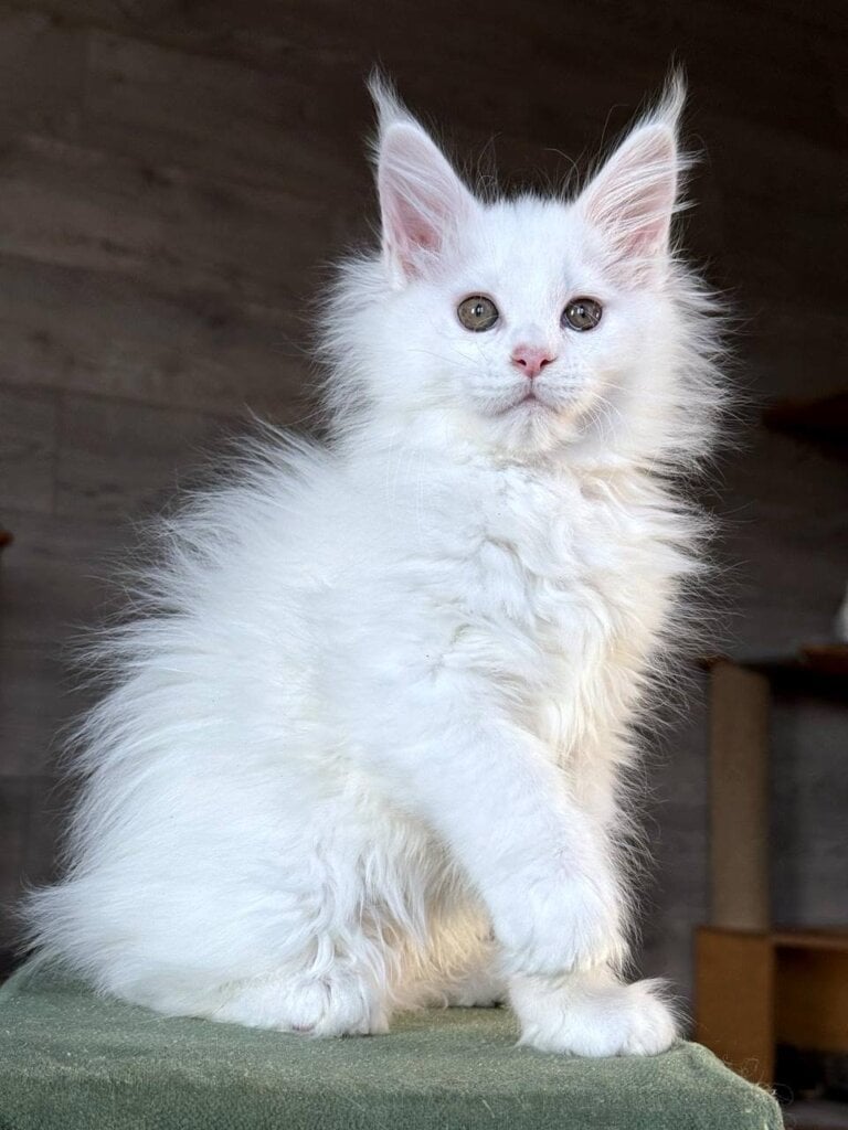 Photo 2026 03 21 18 50 23