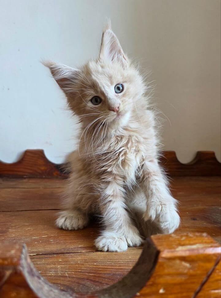 Photo 2026 03 21 20 43 22