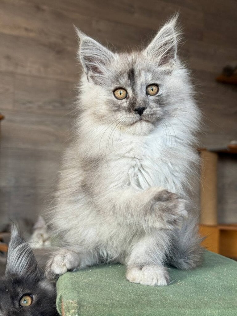 Photo 2026 03 21 20 53 45