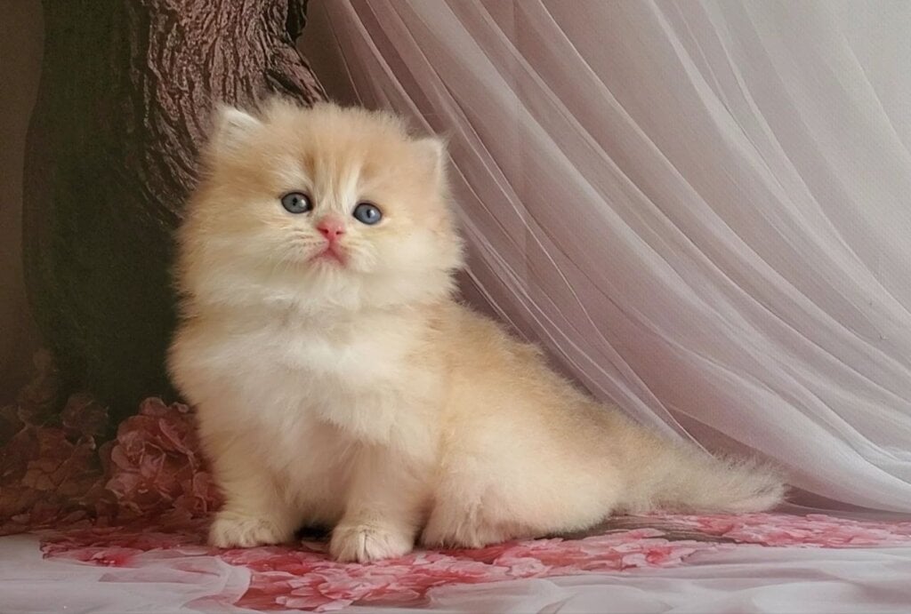 Photo 2026 03 22 04 56 13 1