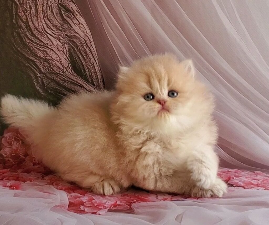 Photo 2026 03 22 04 57 07