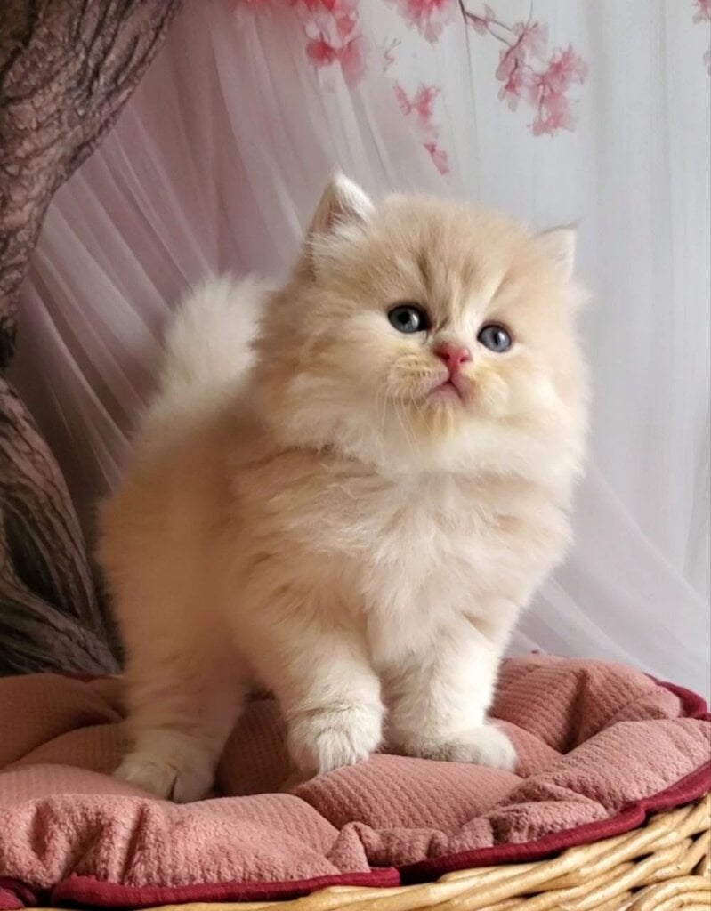 Photo 2026 03 22 04 59 09