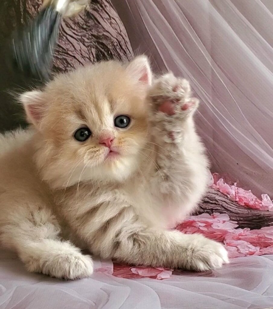 Photo 2026 03 22 05 01 57 1