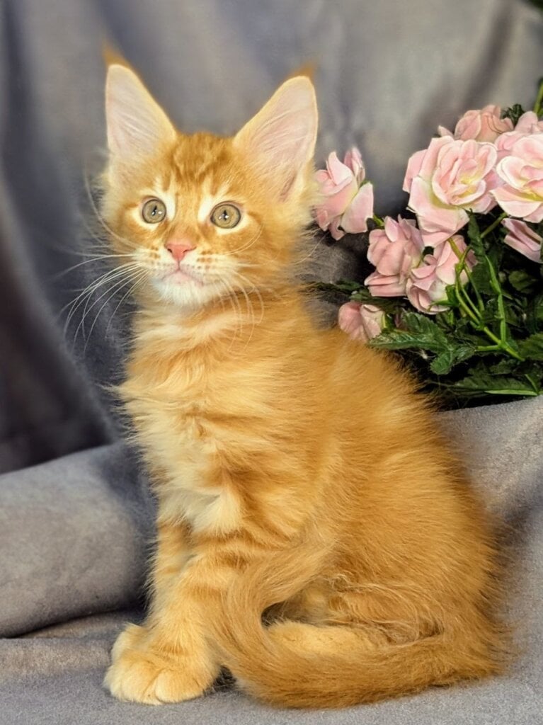 Photo 2026 03 22 22 51 01