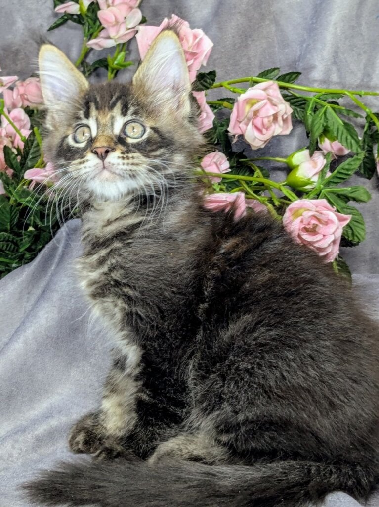 Photo 2026 03 22 22 53 44 3