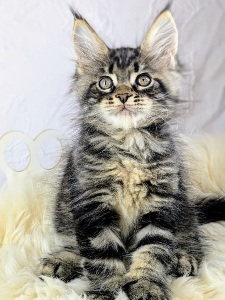 Photo 2026 03 22 22 59 24