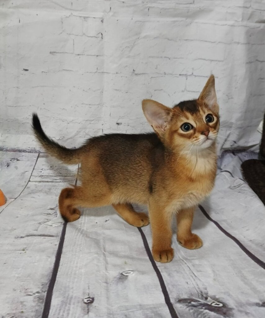 Photo 2026 03 23 00 48 15 2