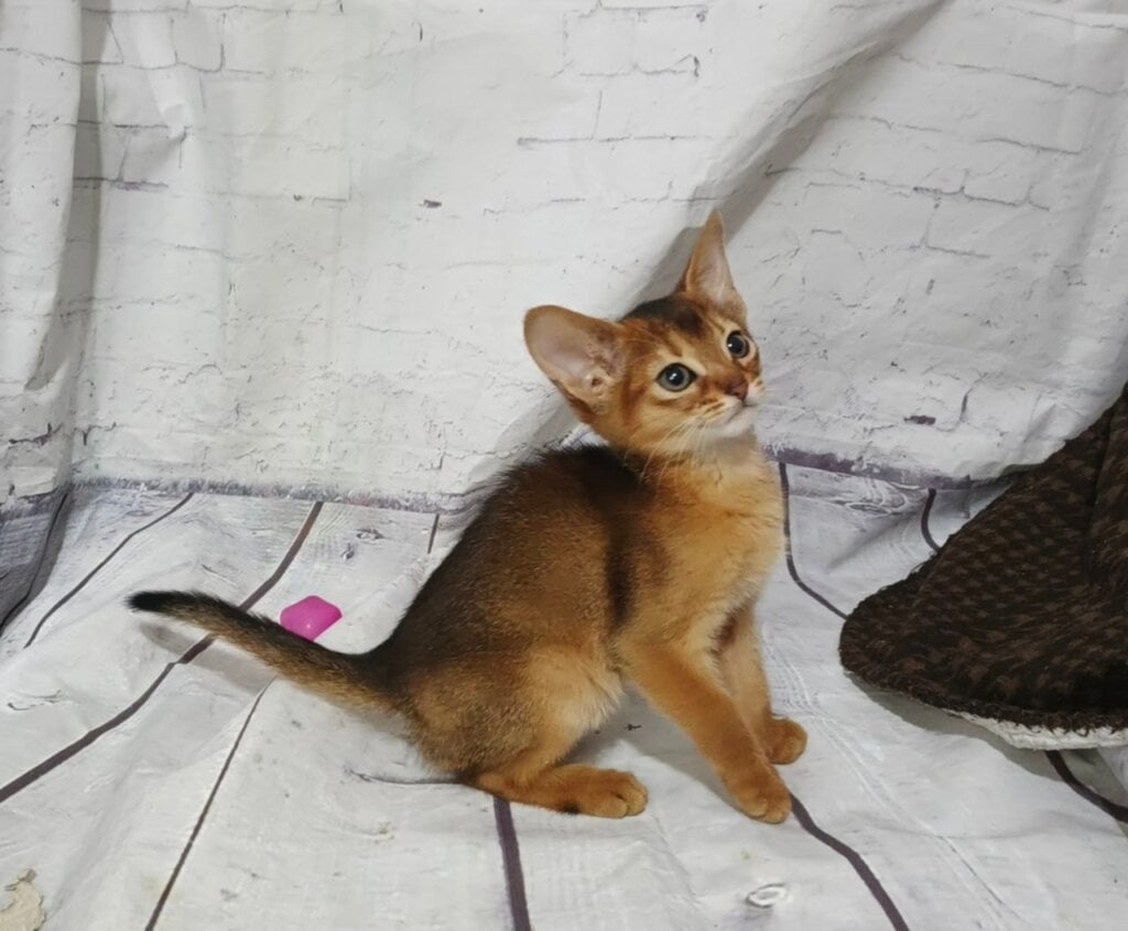 Photo 2026 03 23 00 49 39 5