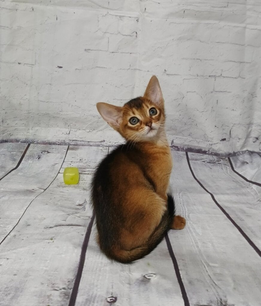 Photo 2026 03 23 00 51 27 2