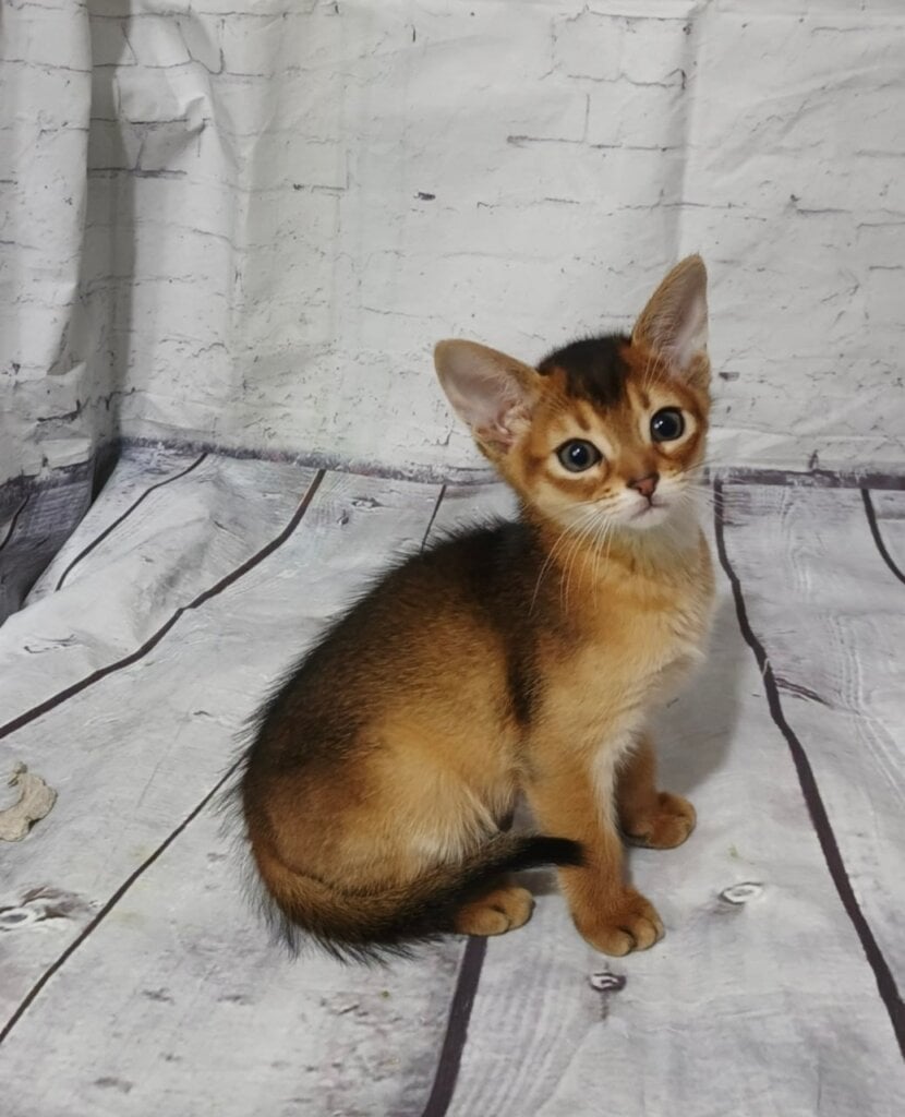 Photo 2026 03 23 00 55 22