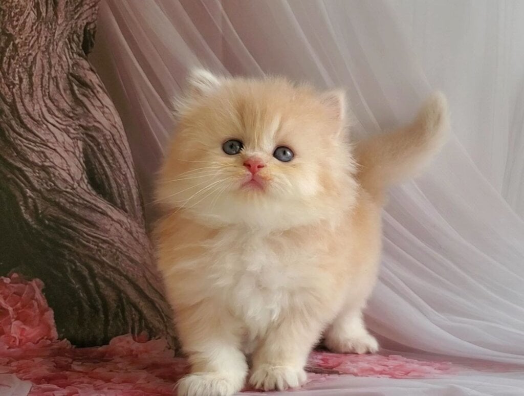 Photo 2026 03 23 07 59 26