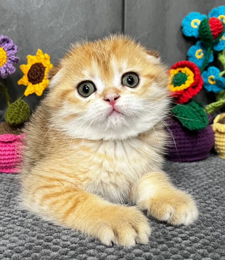 Photo 2026 03 23 11 02 05