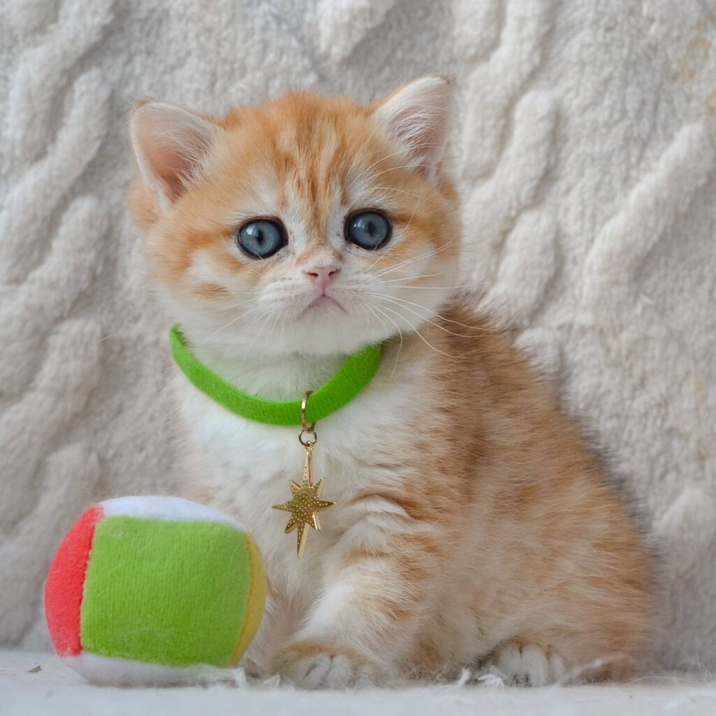 Photo 2026 03 23 17 33 14 2