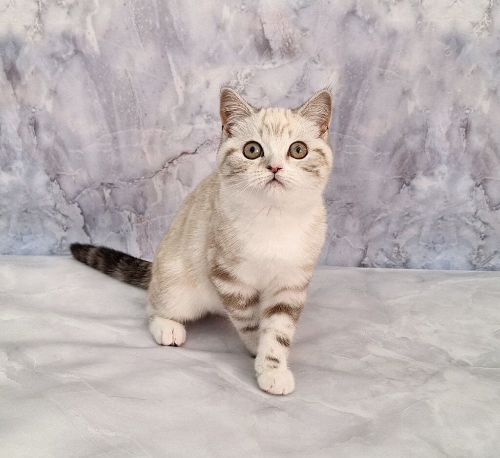 Photo 2026 03 23 21 16 18