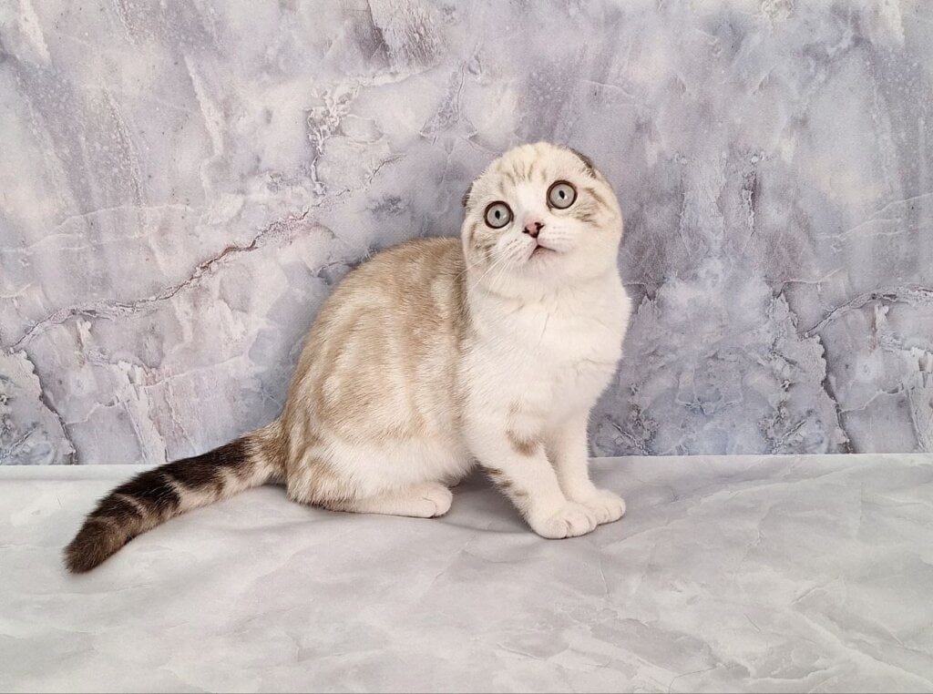 Photo 2026 03 23 21 19 10 3