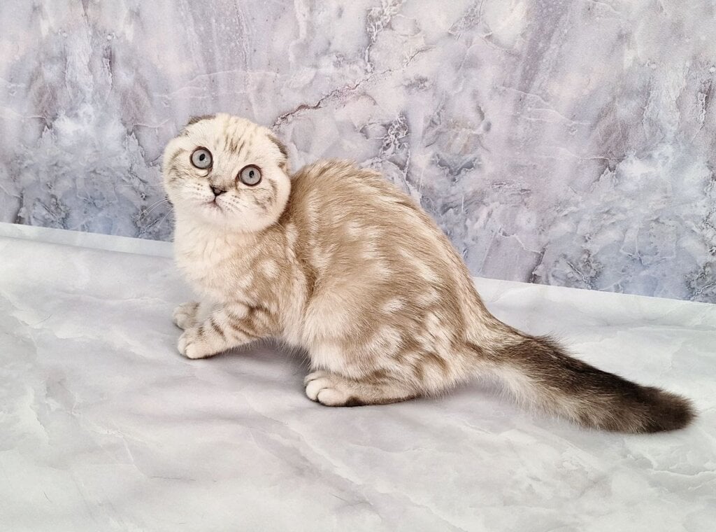 Photo 2026 03 23 21 20 53 2