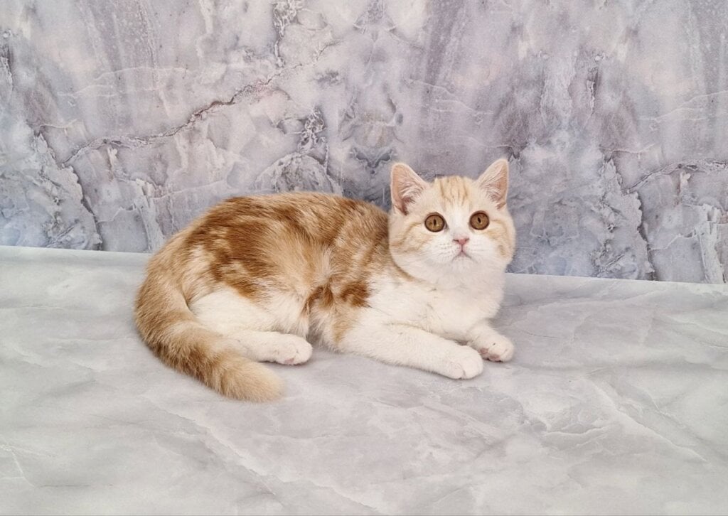 Photo 2026 03 23 21 33 12