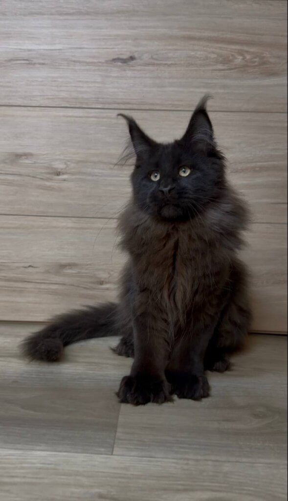 Photo 2026 03 23 22 46 35