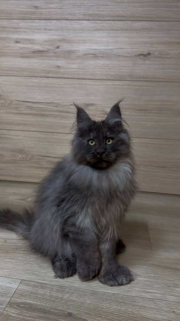 Photo 2026 03 23 23 08 29