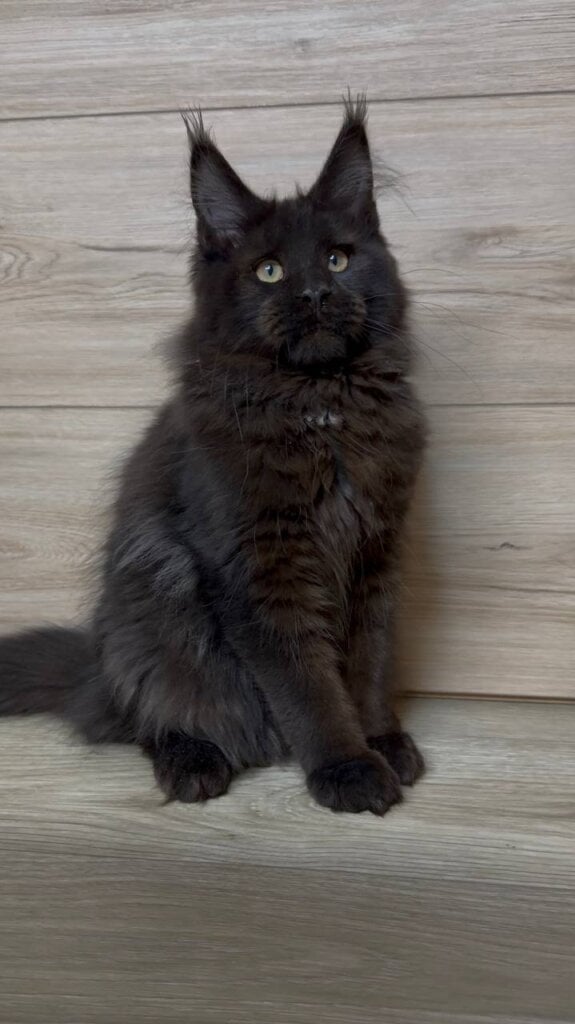 Photo 2026 03 23 23 26 06 2