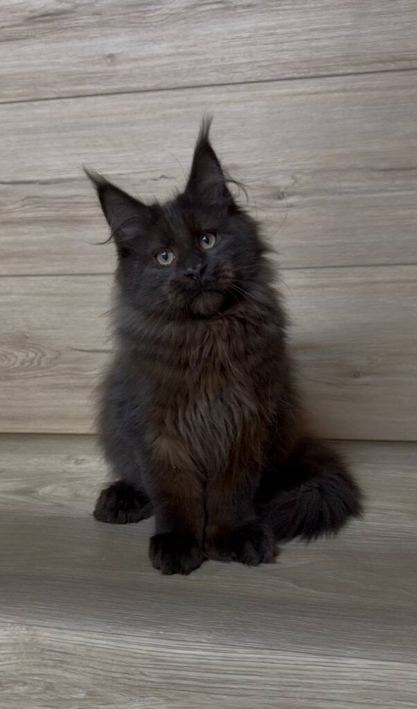 Photo 2026 03 24 02 57 46