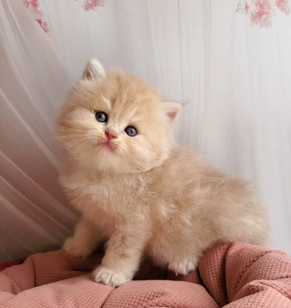 Photo 2026 03 24 06 54 41