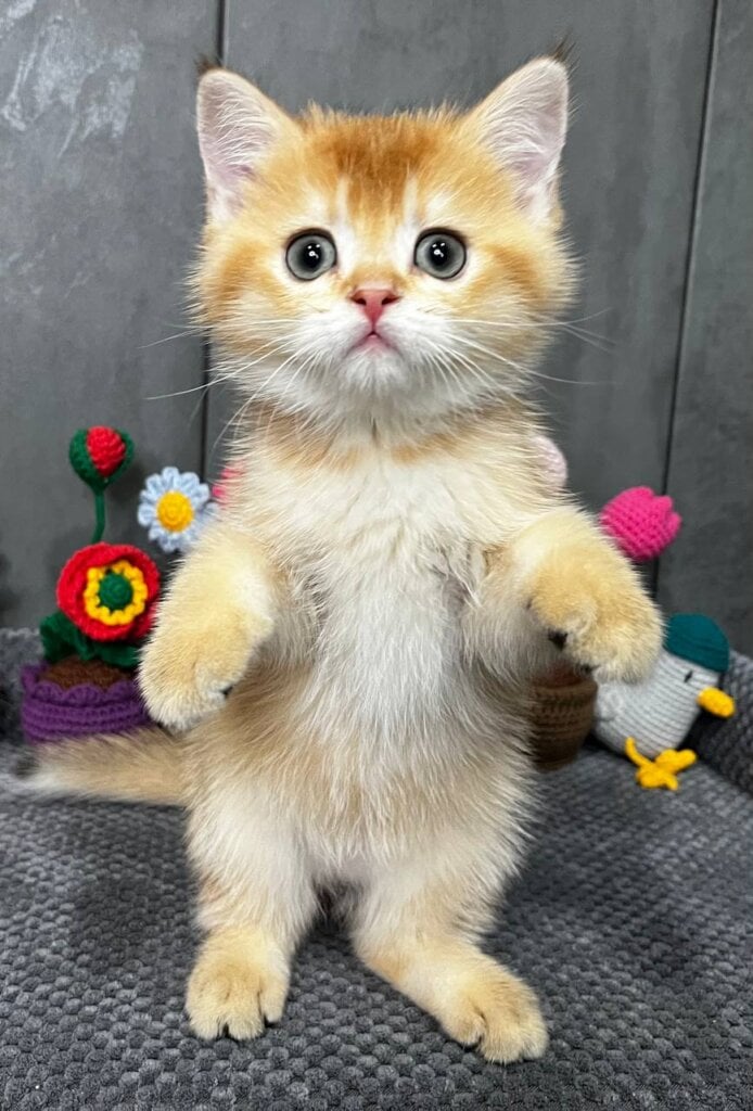 Photo 2026 03 24 08 17 12