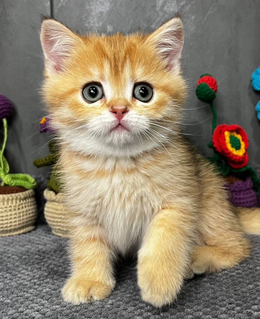 Photo 2026 03 24 08 31 31