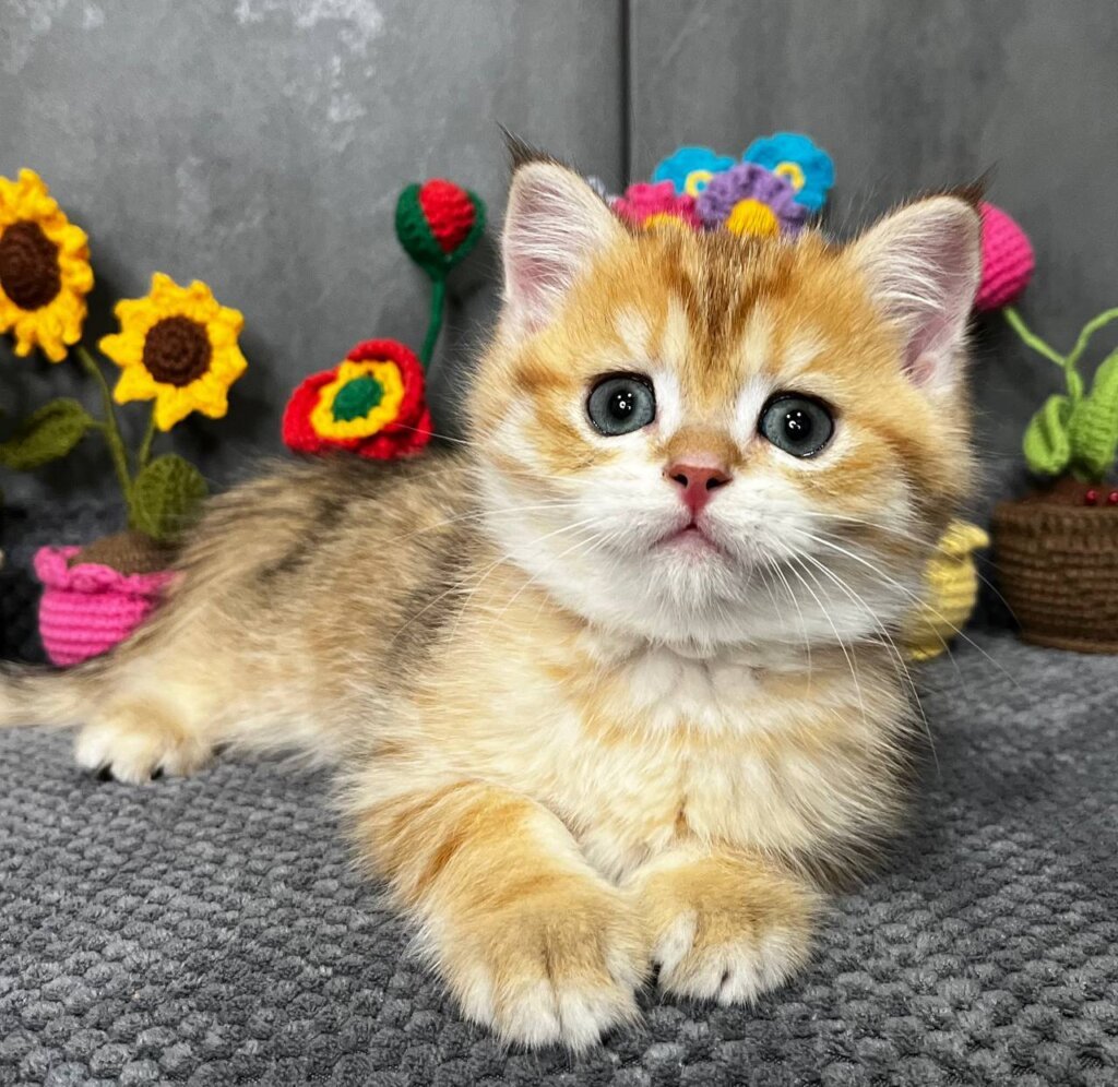 Photo 2026 03 24 08 42 32