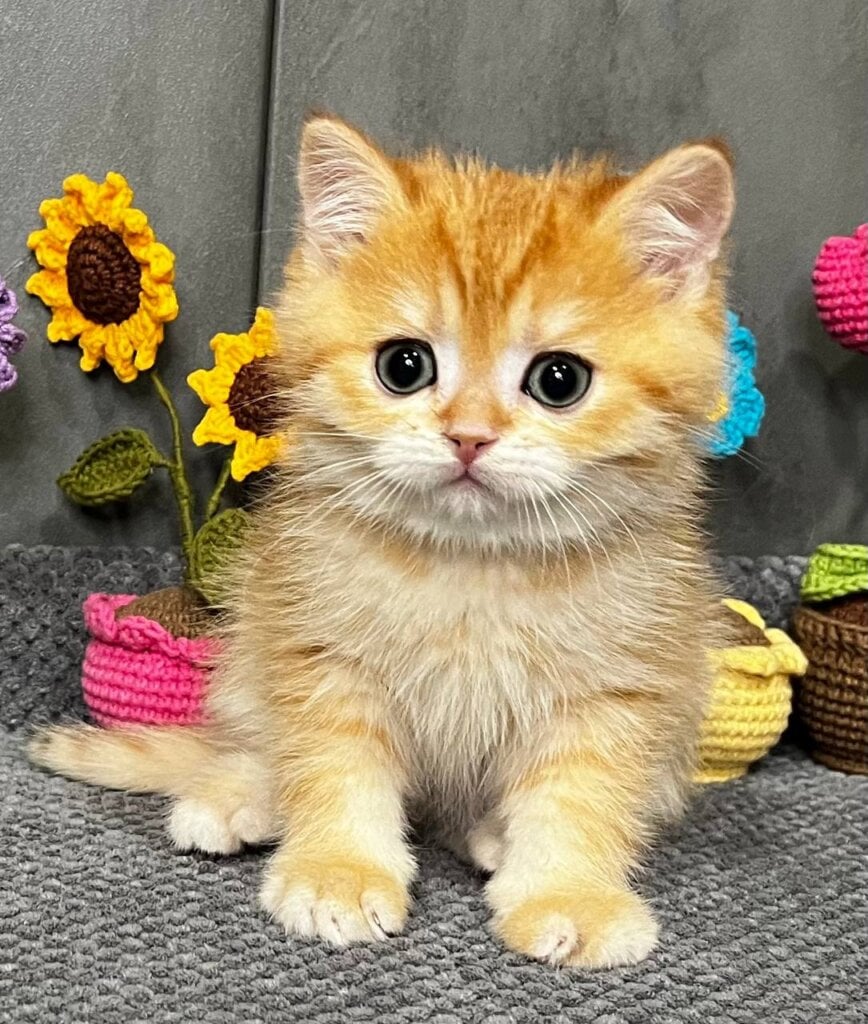 Photo 2026 03 24 09 48 08