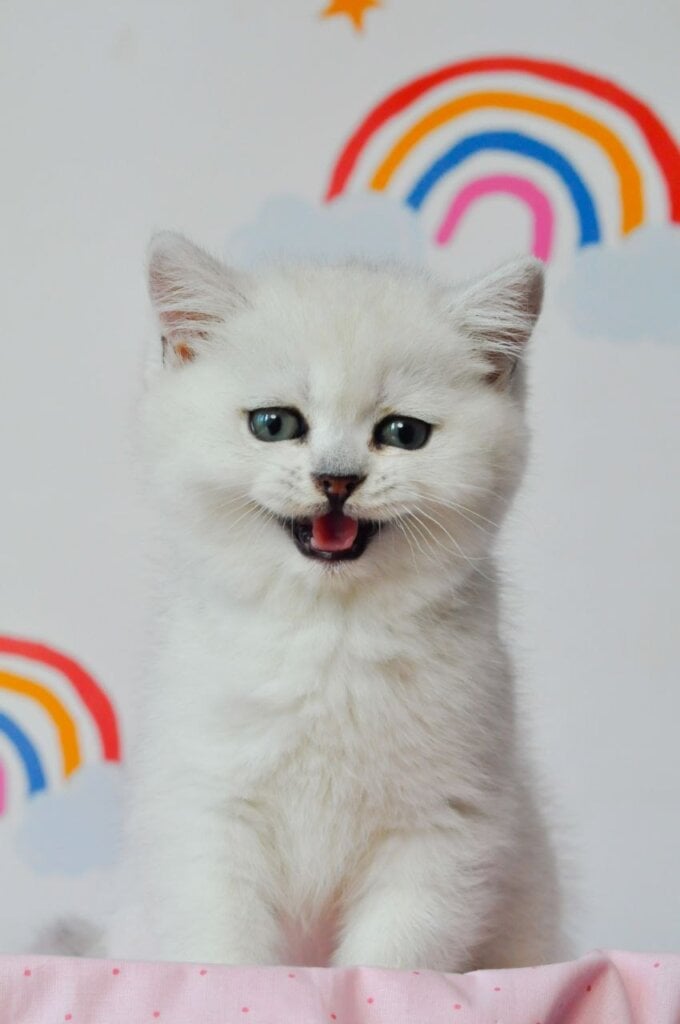 Photo 2026 03 24 15 51 11 3