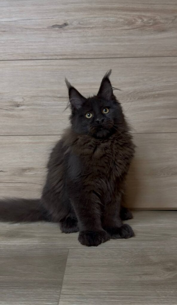 Photo 2026 03 24 16 23 59