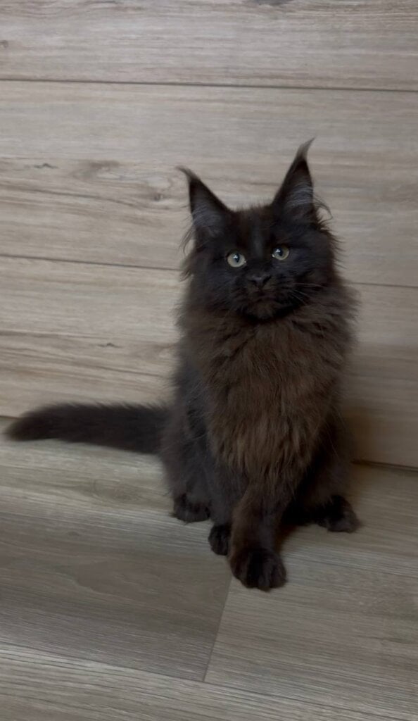 Photo 2026 03 24 16 34 37