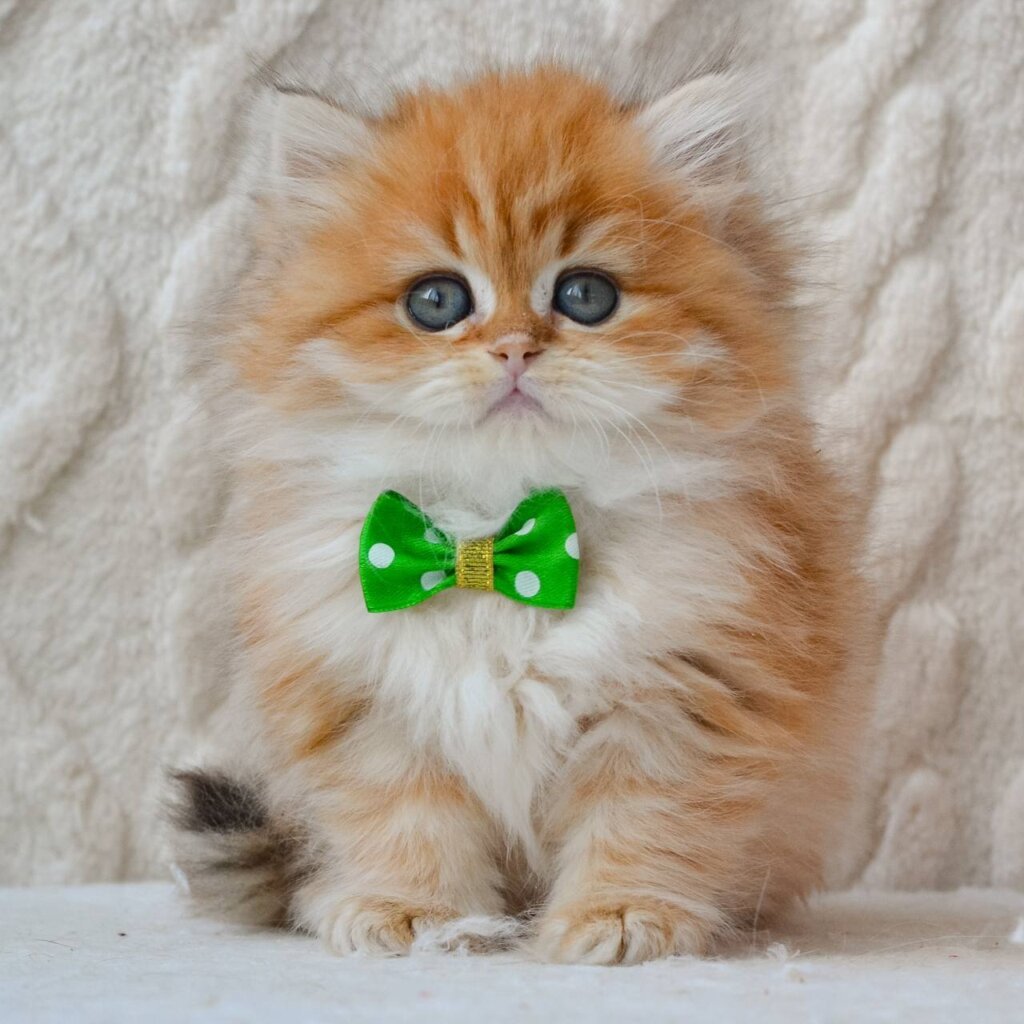 Photo 2026 03 24 17 34 55