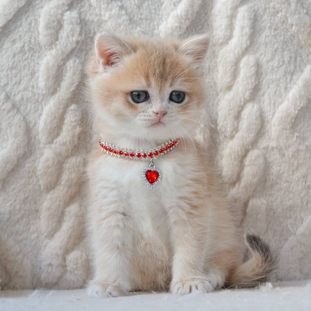 Photo 2026 03 24 17 35 51