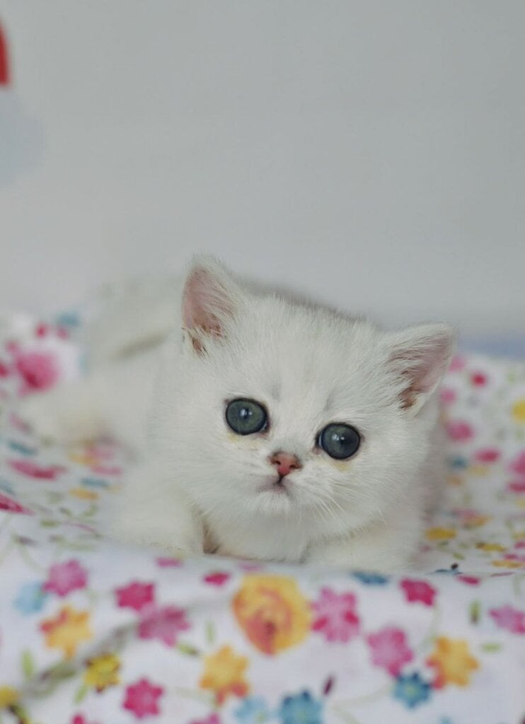 Photo 2026 03 24 18 26 59